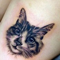 时尚个性情侣纹身头像图片