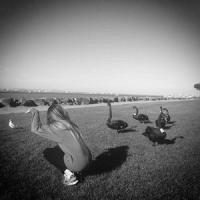 好看唯美的女生黑白qq头像