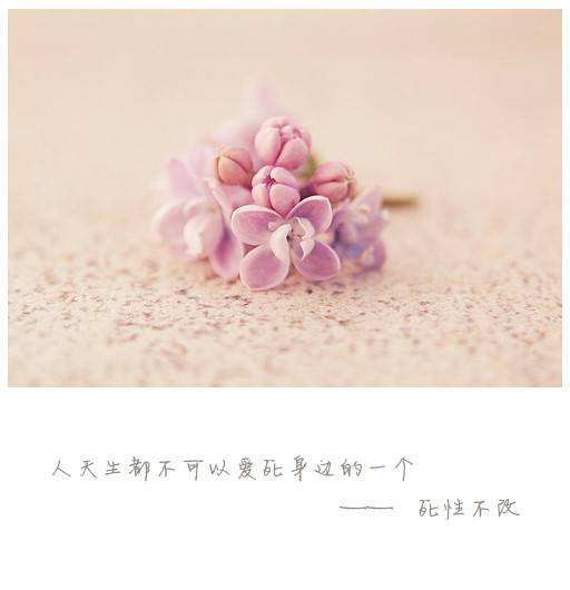 唯美浪漫意境文字素材图片