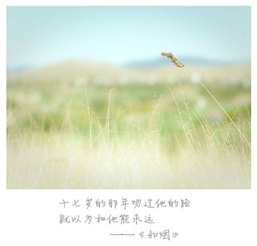 唯美浪漫意境文字素材图片