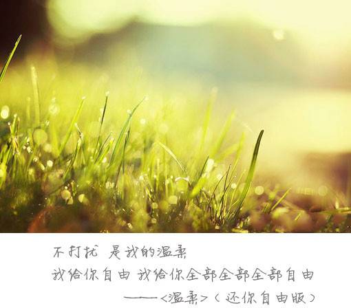 唯美浪漫意境文字素材图片