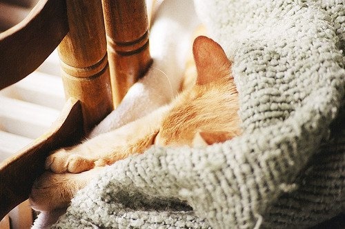 唯美意境非主流空间图片