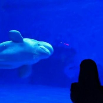 甜蜜非主流情侣时尚头像图片