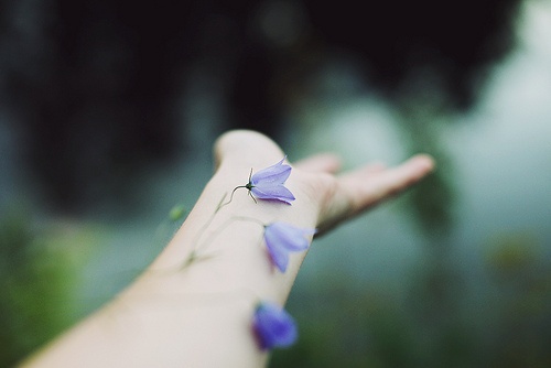 小清新唯美空间个性图片