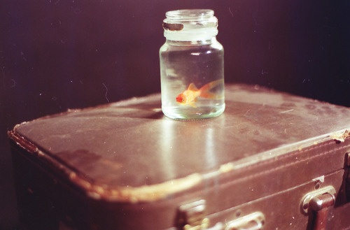 小清新唯美空间个性图片