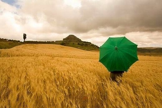 孤独意境QQ非主流伤感心情图片