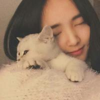 精选可爱小清新的三姐妹头像