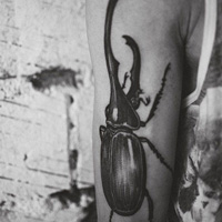 精选各种好看的qq个性纹身头像