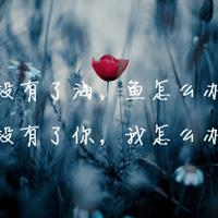 最新带字的微信风景头像图片