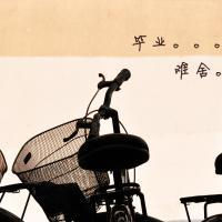 唯美带字女生毕业季头像集锦