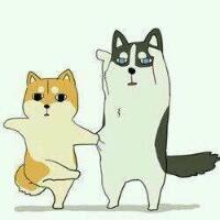 浓浓心意最新qq搞笑情侣头像萌图