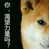 浓浓心意最新qq搞笑情侣头像萌图