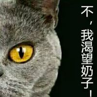 浓浓心意最新qq搞笑情侣头像萌图