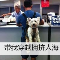 带宠物的qq男生带字头像图片