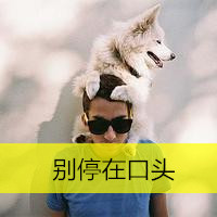 带宠物的qq男生带字头像图片