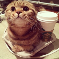 极有个性的男女混搭搞怪头像图片