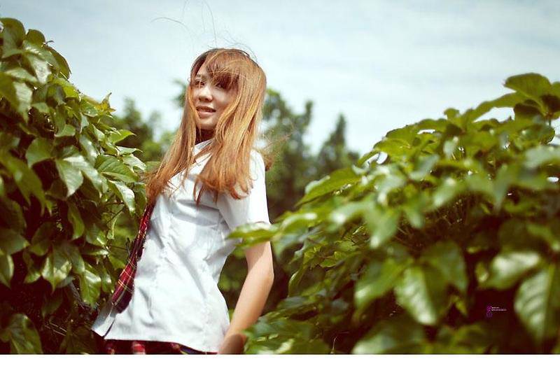 清秀淡雅女生校园唯美写真图片