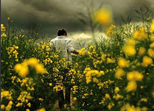 超唯美的非主流男生意境图