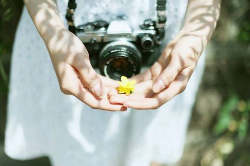 女生与相机简单的意境图