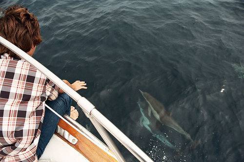 欧美范帅气男生唯美高清图片