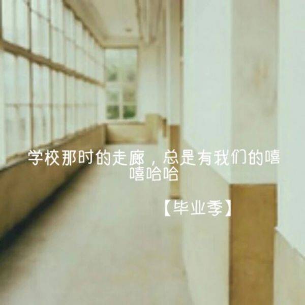 高三党必备毕业伤感文字图片