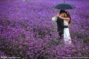 高清幸福情侣浪漫拥抱图片