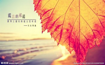 最新高清温暖治愈系意境图片