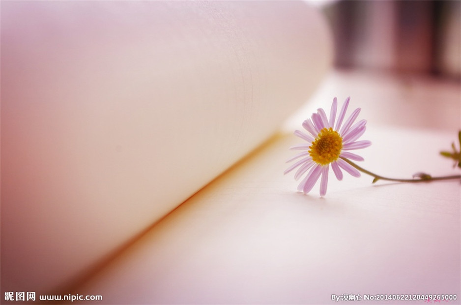 最新高清温暖治愈系意境图片