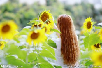 精选文艺范长发女孩背影图片