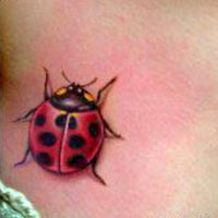 彩色绚丽的qq纹身个性头像合集