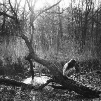 另类诡异恐怖的女生黑白qq头像