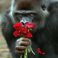 另类趣味的微信搞笑头像图片