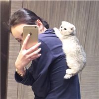 2016最新欧美搞笑女生头像