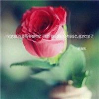 女生最爱的微信唯美风景头像