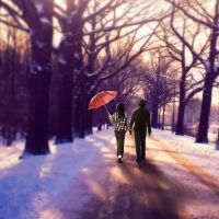 女生最爱的微信唯美风景头像