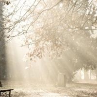 女生最爱的微信唯美风景头像