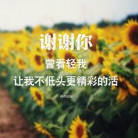 八月精选非主流带字伤感微信头像