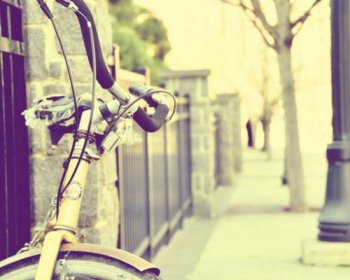 清新简约唯美静物意境图片