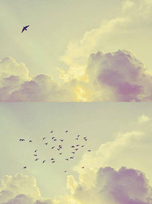 清新简约唯美静物意境图片