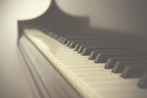 清新简约唯美静物意境图片