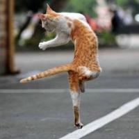 最新可爱搞笑微信头像图片