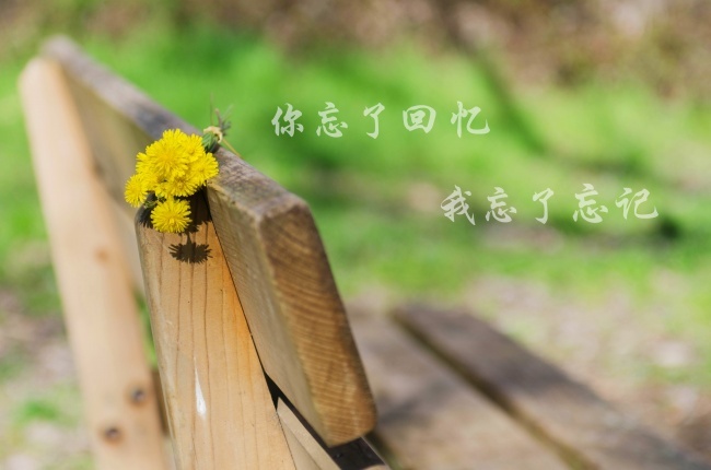 温暖唯美治愈系风景图片