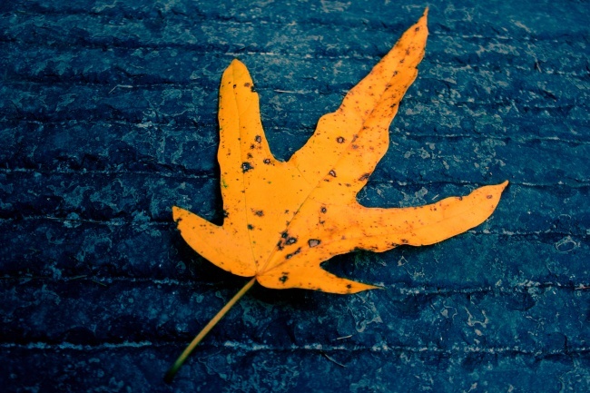 最新唯美爱情伤感意境图片