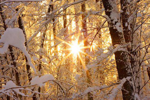 意境唯美雪景QQ秀图片