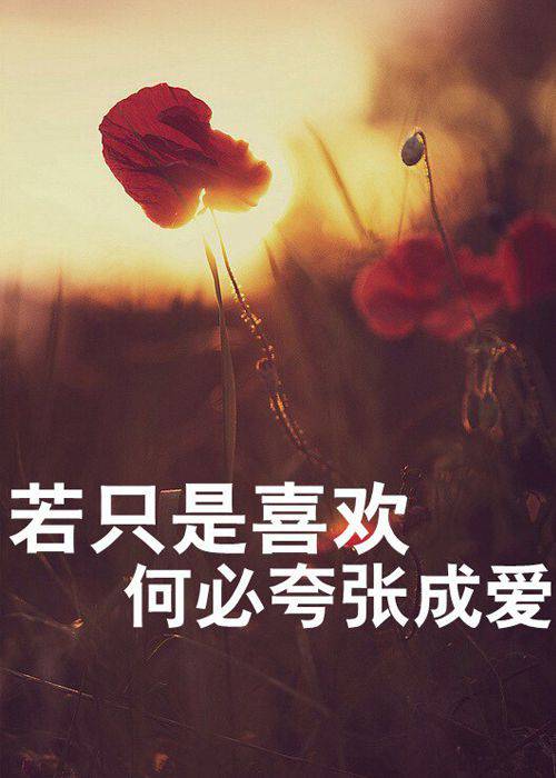 伤感的唯美风景图带字素材大全