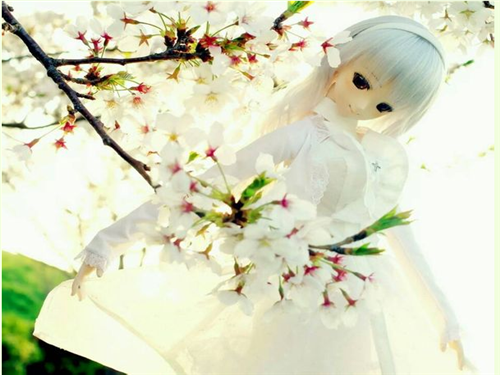 幸福芭比娃娃意境的图片素材