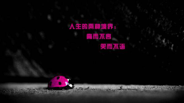 带字风景图片大全唯美爱情图片