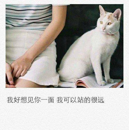 非主流带字伤感唯美图片大全