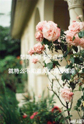 qq伤感图片带字唯美素材