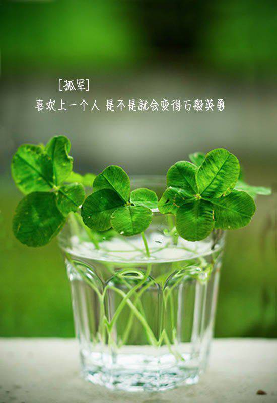 qq伤感图片带字唯美素材